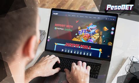 pesobet software